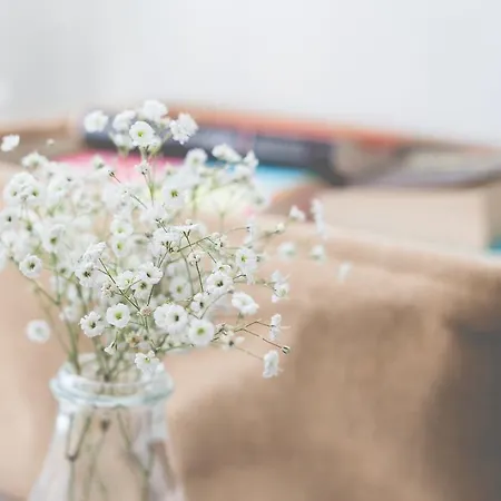 فندق مبيت وإفطار Sintra1012 Boutique 4*