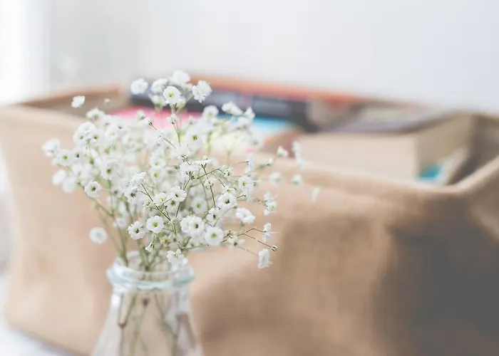 住宿加早餐酒店 辛特拉1012住宿加早餐旅馆 4*